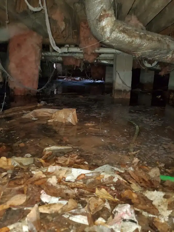 Crawl space flood assessment for Commercial Water Damage Restoration in Alexandria