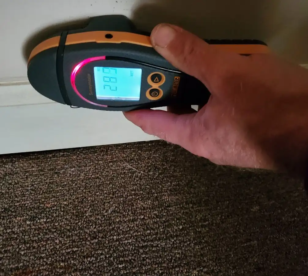 Moisture detection at baseboard during Mold Inspection & Testing in Alexandria